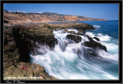 Reef Runoff
