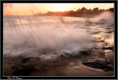 California Seascapes