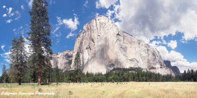 El Capitan Panoramic