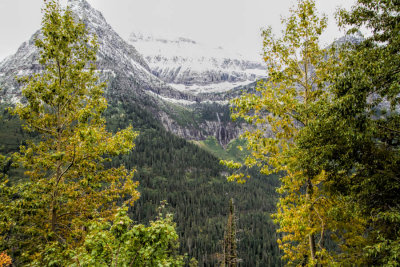 _MG_9796