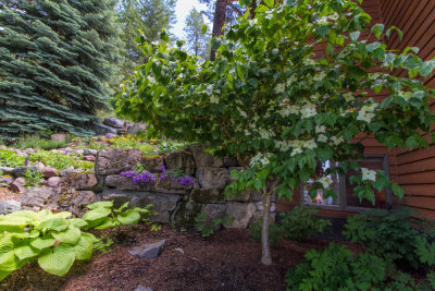 Flathead Lake Home