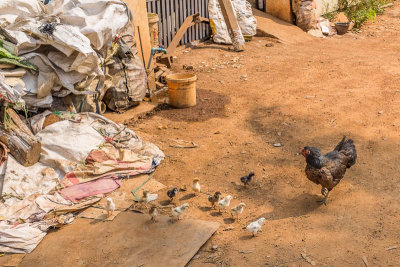 Metalwork community northwest of Phnom Penh