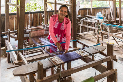 Silk factory southeast of Siem Reap