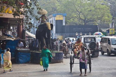 Street scene, Calcutta