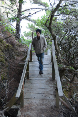 Cape Trail Bridge Walk