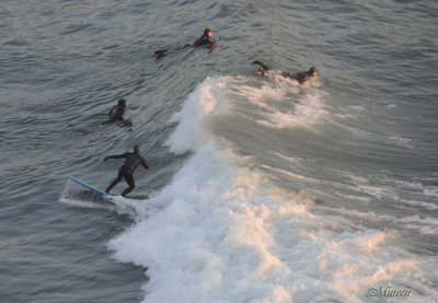 White Christmas Surfing