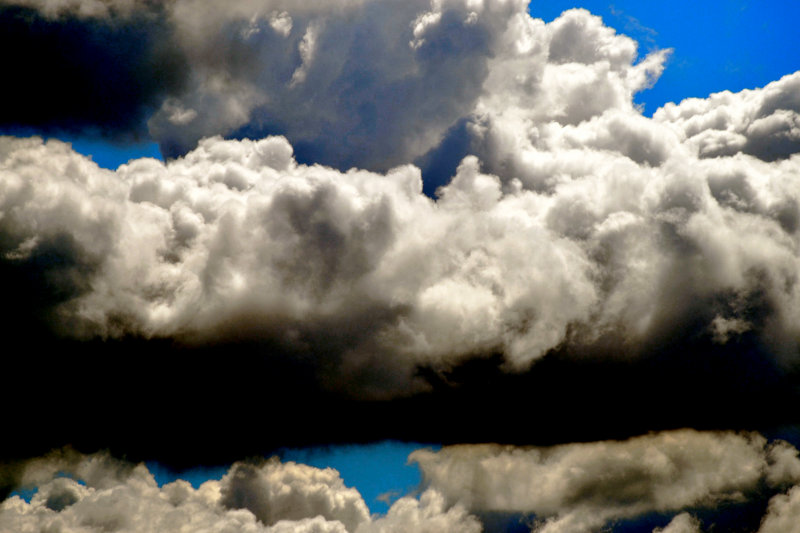 DSC_3294C.jpg