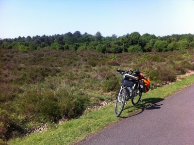 Heathland near Westerbork
