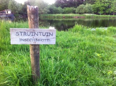 Insect hotel