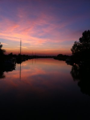 The view