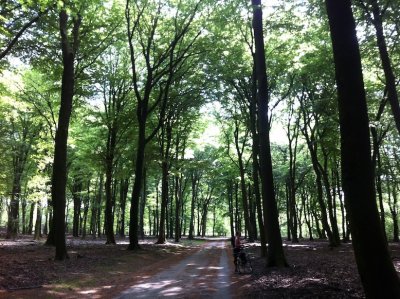 Veluwe