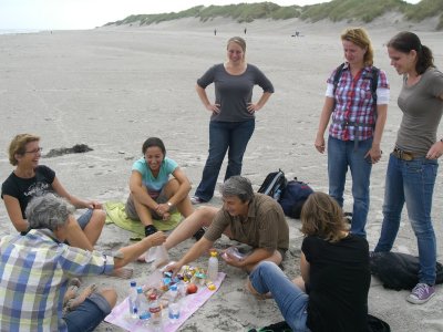 Ameland (Wadden island)