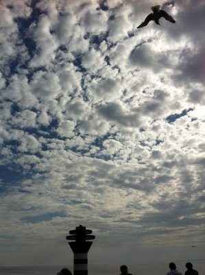 Ameland (Wadden island)