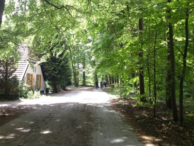 De Veluwe region, Gelderland province