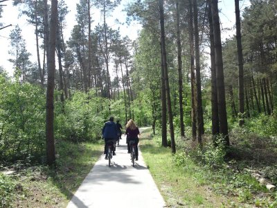 De Veluwe region, Gelderland province