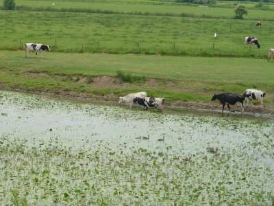 Around Nijmegen, Gelderland province