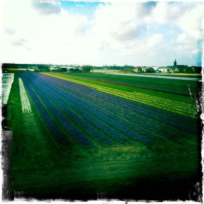 Seen from train Haarlem - Leiden