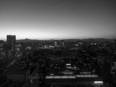 Twilight view from hotel - B&W version