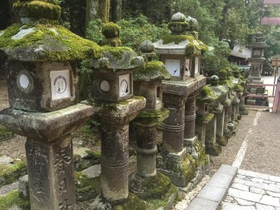 Kasuga-taisha Shrine, Nara, Japan