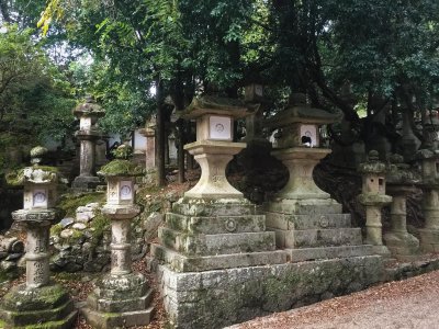 Kasuga-taisha Shrine lanterns