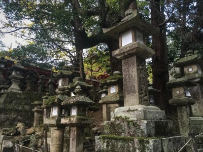 Kasuga-taisha Shrine lanterns