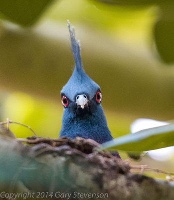 Who you looking at?