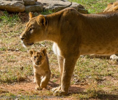 Mother and child