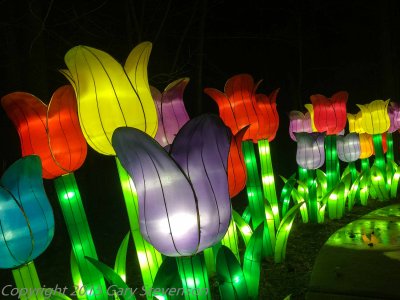 Chinese Lantern Festival - Christmas 2015