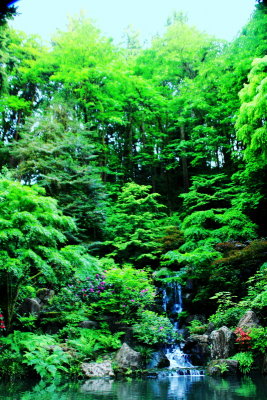 Heavenly Falls, Waterfalls, Strolling Pond Garden (chisen kaiyu shiki teien), Japanese Garden, Portland, Oregon 