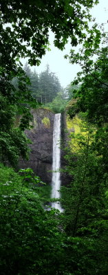 Latourell Falls, Guy W. Talbot State Park, Columbia River Gorge National Scenic Area, Oregon