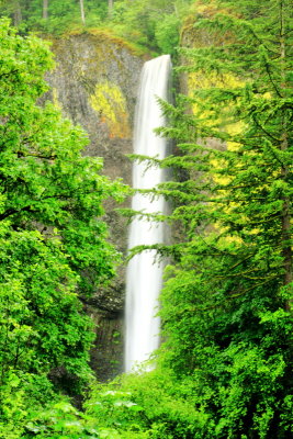 Latourell Falls, Guy W. Talbot State Park, Columbia River Gorge National Scenic Area, Oregon