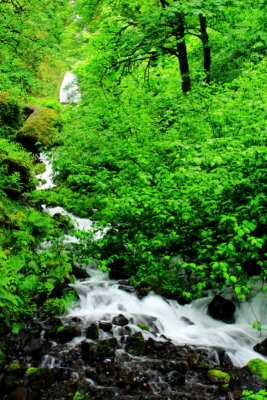 Wahkeena Falls, Benson State Recreation Area,  Columbia River Gorge National Scenic Area, Oregon