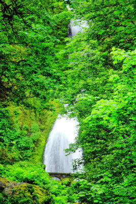 Wahkeena Falls, Benson State Recreation Area, Columbia River Gorge National Scenic Area, Oregon