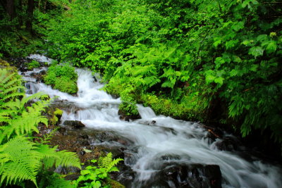 Wahkeena Falls Creek, Columbia River Gorge National Scenic Area, Oregon