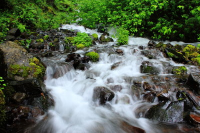 Wahkeena Falls Creek, Columbia River Gorge National Scenic Area, Oregon