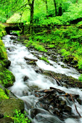 Wahkeena Falls Creek, Benson State Recreation Area, Columbia River Gorge National Scenic Area, Oregon