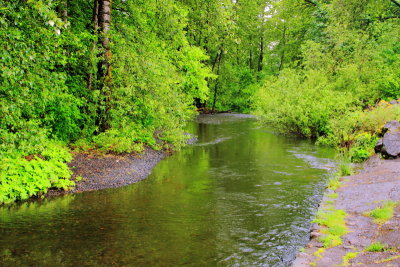Wahkeena Creek, Benson State Recreation Area,  Columbia River Gorge National Scenic Area, Oregon