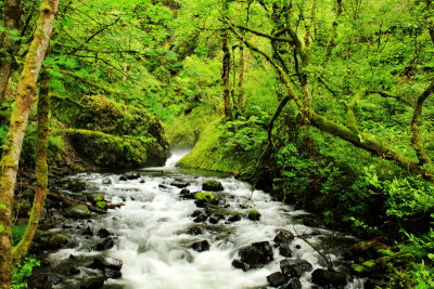 Bridal Veil Falls Creek, Columbia River Gorge National Scenic Area, Oregon