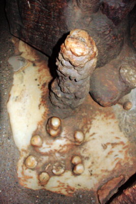 New stalagmites forming, New Entrance Tour, Mammoth Cave National Park, Kentucky