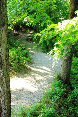 Heritage Trail, Mammoth Cave National Park, Kentucky