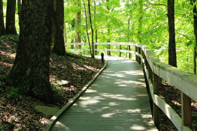 Heritage Trail, Mammoth Cave National Park, Kentucky