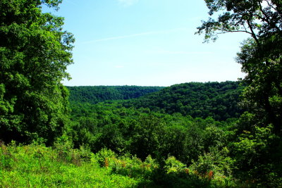 Sunset Point, Heritage Trail, Mammoth Cave National Park, Kentucky