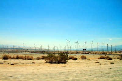 Harvesting wind energy, windmills, Joshua Tree National Park, California