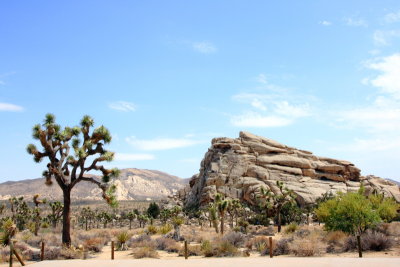 Rocky desert, Joshua Tree National Park, California