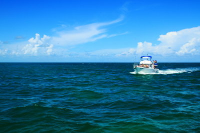 Biscayne Bay, Biscayne National Park, Florida