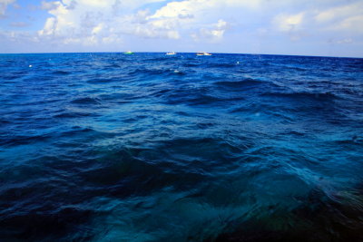 Biscayne Bay, Biscayne National Park, Florida