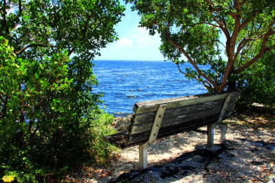 Bench, Biscayne National Park, Florida