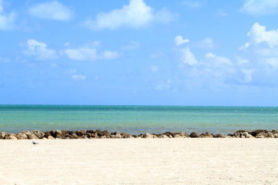 Higgs Beach, Key West, Florida Keys
