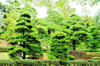 Edo Castle Gardens, Tokyo Imperial Palace, Tokyo, Japan