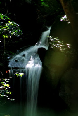 Medaki falls, Naritasan park, Narita, Japan